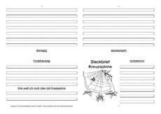 Kreuzspinne-Faltbuch-vierseitig-2.pdf